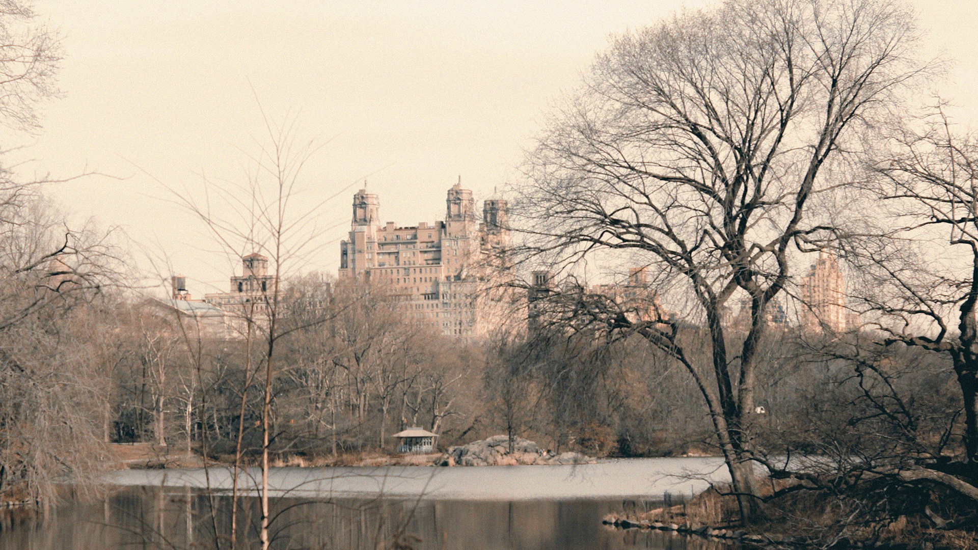 NY 2012 – Central Park